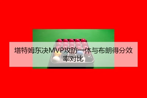 塔特姆东决MVP攻防一体与布朗得分效率对比