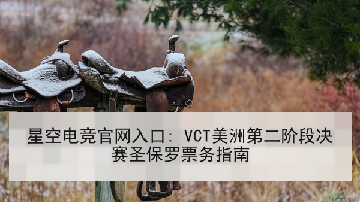 星空电竞官网入口: VCT美洲第二阶段决赛圣保罗票务指南