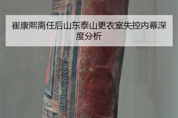 cui-kang-xi-li-ren-hou-shan-dong-tai-shan-geng-yi-shi-shi-kong-nei-mu-shen-du-fen-xi-2-429.jpg