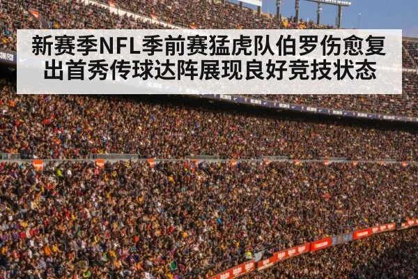 football stadium crowd