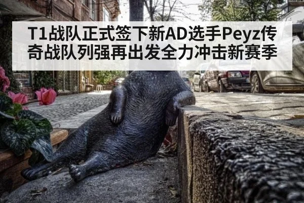 T1战队正式签下新AD选手Peyz传奇战队列强再出发全力冲击新赛季