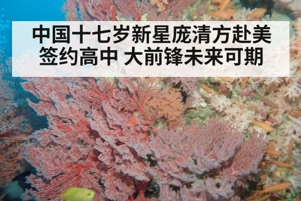 中国十七岁新星庞清方赴美签约高中 大前锋未来可期